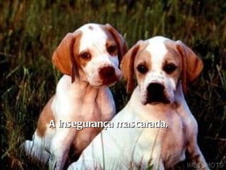 A insegurança mascarada,    