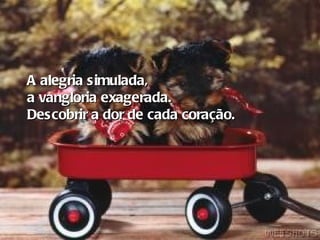 A alegria simulada,  a vangloria exagerada. Descobrir a dor de cada coração. 