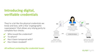 Verifiable Credentials in Self-Sovereign Identity (SSI) | PDF