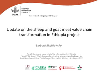 Update on the sheep and goat meat value chain
transformation in Ethiopia project
Barbara Rischkowsky
Small Ruminant value chain Transformation in Ethiopia
(SmaRT Ethiopia) Workshop on Developing Intervention Packages for
Small Ruminant Value Chain Target Sites, Addis Ababa, 19-20 April 2017
 