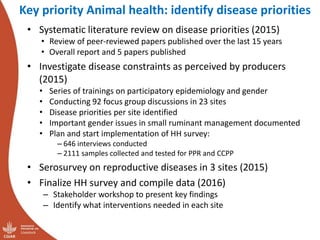 Update on the sheep and goat meat value chain transformation in Ethiopia project
