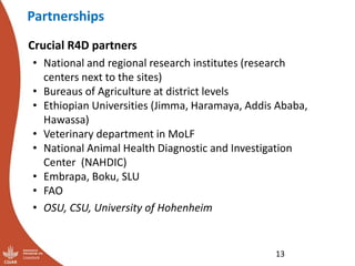 Update on the sheep and goat meat value chain transformation in Ethiopia project