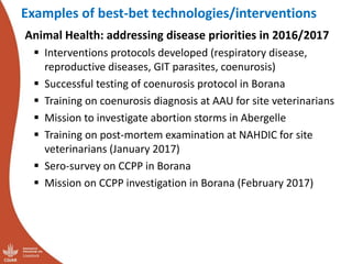 Update on the sheep and goat meat value chain transformation in Ethiopia project