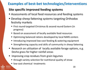 Update on the sheep and goat meat value chain transformation in Ethiopia project
