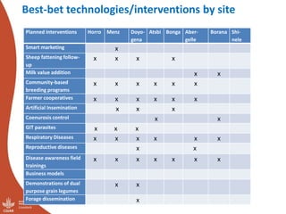Update on the sheep and goat meat value chain transformation in Ethiopia project