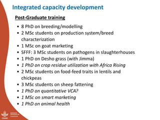 Update on the sheep and goat meat value chain transformation in Ethiopia project