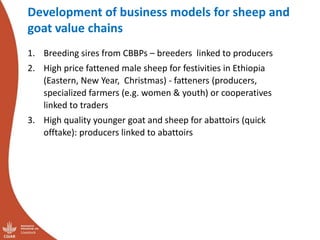 Update on the sheep and goat meat value chain transformation in Ethiopia project