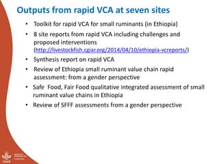 Update on the sheep and goat meat value chain transformation in Ethiopia project