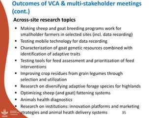 Update on the sheep and goat meat value chain transformation in Ethiopia project