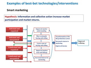 Update on the sheep and goat meat value chain transformation in Ethiopia project