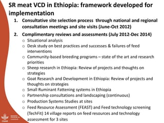 Update on the sheep and goat meat value chain transformation in Ethiopia project