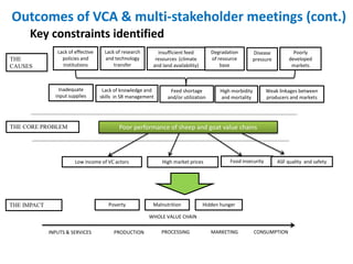 Update on the sheep and goat meat value chain transformation in Ethiopia project