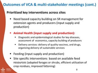 Update on the sheep and goat meat value chain transformation in Ethiopia project
