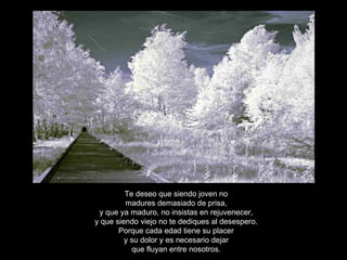 Te deseo que siendo joven no madures demasiado de prisa, y que ya maduro, no insistas en rejuvenecer, y que siendo viejo no te dediques al desespero. Porque cada edad tiene su placer y su dolor y es necesario dejar que fluyan entre nosotros. 