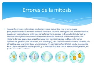 Errores de la mitosis


Aunque los errores en la mitosis son bastante poco frecuentes, este proceso puede
fallar, especialmente durante las primeras divisiones celulares en el cigoto. Los errores mitóticos
pueden ser especialmente peligrosos para el organismo, porque el descendiente futuro de la
célula madre defectuosa mantendrá la misma anomalía. hermanos y la otra se quedará sin
ninguno. Esto da lugar a que una célula tenga tres cromosomas que codifiquen la misma
información genética (dos hermanos y un homólogo), una condición conocida como trisomía, y la
otra célula, que solamente tiene un cromosoma (el cromosoma homólogo), tendrá monosomía.
Estas células se consideran aneuploides, y la aneuploidía puede causar inestabilidad genética, un
hecho frecuente en cáncer.
 