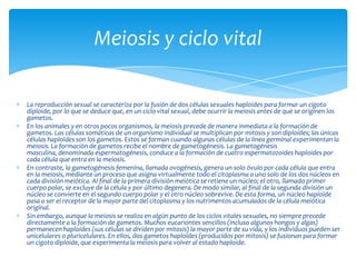 Meiosis y ciclo vital

La reproducción sexual se caracteriza por la fusión de dos células sexuales haploides para formar un cigoto
diploide, por lo que se deduce que, en un ciclo vital sexual, debe ocurrir la meiosis antes de que se originen los
gametos.
En los animales y en otros pocos organismos, la meiosis precede de manera inmediata a la formación de
gametos. Las células somáticas de un organismo individual se multiplican por mitosis y son diploides; las únicas
células haploides son los gametos. Estos se forman cuando algunas células de la línea germinal experimentan la
meiosis. La formación de gametos recibe el nombre de gametogénesis. La gametogénesis
masculina, denominada espermatogénesis, conduce a la formación de cuatro espermatozoides haploides por
cada célula que entra en la meiosis.
En contraste, la gametogénesis femenina, llamada ovogénesis, genera un solo óvulo por cada célula que entra
en la meiosis, mediante un proceso que asigna virtualmente todo el citoplasma a uno solo de los dos núcleos en
cada división meiótica. Al final de la primera división meiótica se retiene un núcleo; el otro, llamado primer
cuerpo polar, se excluye de la célula y por último degenera. De modo similar, al final de la segunda división un
núcleo se convierte en el segundo cuerpo polar y el otro núcleo sobrevive. De esta forma, un núcleo haploide
pasa a ser el receptor de la mayor parte del citoplasma y los nutrimentos acumulados de la célula meiótica
original.
Sin embargo, aunque la meiosis se realiza en algún punto de los ciclos vitales sexuales, no siempre precede
directamente a la formación de gametos. Muchos eucariontes sencillos (incluso algunos hongos y algas)
permanecen haploides (sus células se dividen por mitosis) la mayor parte de su vida, y los individuos pueden ser
unicelulares o pluricelulares. En ellos, dos gametos haploides (producidos por mitosis) se fusionan para formar
un cigoto diploide, que experimenta la meiosis para volver al estado haploide.
 