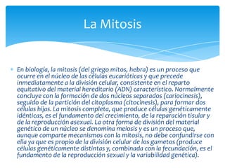 La Mitosis


En biología, la mitosis (del griego mitos, hebra) es un proceso que
ocurre en el núcleo de las células eucarióticas y que precede
inmediatamente a la división celular, consistente en el reparto
equitativo del material hereditario (ADN) característico. Normalmente
concluye con la formación de dos núcleos separados (cariocinesis),
seguido de la partición del citoplasma (citocinesis), para formar dos
células hijas. La mitosis completa, que produce células genéticamente
idénticas, es el fundamento del crecimiento, de la reparación tisular y
de la reproducción asexual. La otra forma de división del material
genético de un núcleo se denomina meiosis y es un proceso que,
aunque comparte mecanismos con la mitosis, no debe confundirse con
ella ya que es propio de la división celular de los gametos (produce
células genéticamente distintas y, combinada con la fecundación, es el
fundamento de la reproducción sexual y la variabilidad genética).
 