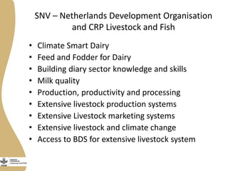 SNV – Netherlands Development Organisation 
and CRP Livestock and Fish 
• Climate Smart Dairy 
• Feed and Fodder for Dairy...