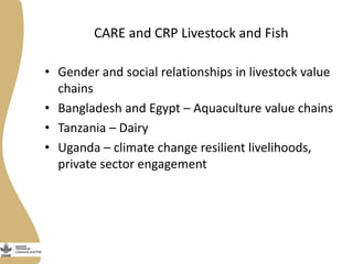 CARE and CRP Livestock and Fish 
• Gender and social relationships in livestock value 
chains 
• Bangladesh and Egypt – Aq...