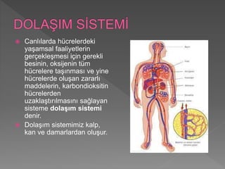  Canlılarda hücrelerdeki
yaşamsal faaliyetlerin
gerçekleşmesi için gerekli
besinin, oksijenin tüm
hücrelere taşınması ve yine
hücrelerde oluşan zararlı
maddelerin, karbondioksitin
hücrelerden
uzaklaştırılmasını sağlayan
sisteme dolaşım sistemi
denir.
 Dolaşım sistemimiz kalp,
kan ve damarlardan oluşur.
 