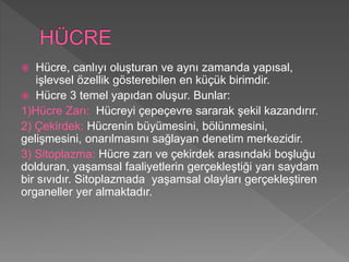  Hücre, canlıyı oluşturan ve aynı zamanda yapısal,
işlevsel özellik gösterebilen en küçük birimdir.
 Hücre 3 temel yapıdan oluşur. Bunlar:
1)Hücre Zarı: Hücreyi çepeçevre sararak şekil kazandırır.
2) Çekirdek: Hücrenin büyümesini, bölünmesini,
gelişmesini, onarılmasını sağlayan denetim merkezidir.
3) Sitoplazma: Hücre zarı ve çekirdek arasındaki boşluğu
dolduran, yaşamsal faaliyetlerin gerçekleştiği yarı saydam
bir sıvıdır. Sitoplazmada yaşamsal olayları gerçekleştiren
organeller yer almaktadır.
 