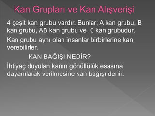4 çeşit kan grubu vardır. Bunlar; A kan grubu, B
kan grubu, AB kan grubu ve 0 kan grubudur.
Kan grubu aynı olan insanlar birbirlerine kan
verebilirler.
KAN BAĞIŞI NEDİR?
İhtiyaç duyulan kanın gönüllülük esasına
dayanılarak verilmesine kan bağışı denir.
 
