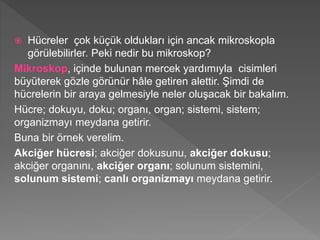  Hücreler çok küçük oldukları için ancak mikroskopla
görülebilirler. Peki nedir bu mikroskop?
Mikroskop, içinde bulunan mercek yardımıyla cisimleri
büyüterek gözle görünür hâle getiren alettir. Şimdi de
hücrelerin bir araya gelmesiyle neler oluşacak bir bakalım.
Hücre; dokuyu, doku; organı, organ; sistemi, sistem;
organizmayı meydana getirir.
Buna bir örnek verelim.
Akciğer hücresi; akciğer dokusunu, akciğer dokusu;
akciğer organını, akciğer organı; solunum sistemini,
solunum sistemi; canlı organizmayı meydana getirir.
 