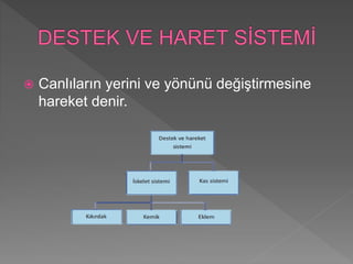  Canlıların yerini ve yönünü değiştirmesine
hareket denir.
 