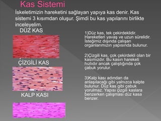 İskeletimizin hareketini sağlayan yapıya kas denir. Kas
sistemi 3 kısımdan oluşur. Şimdi bu kas yapılarını birlikte
inceleyelim.
1)Düz kas, tek çekirdeklidir.
Hareketleri yavaş ve uzun sürelidir.
İsteğimiz dışında çalışan
organlarımızın yapısında bulunur.
2)Çizgili kas, çok çekirdekli olan bir
kasımızdır. Bu kasın hareketi
hızlıdır ancak çalıştığında çok
çabuk yorulur.
3)Kalp kası adından da
anlaşılacağı gibi yalnızca kalpte
bulunur. Düz kas gibi çabuk
yorulmaz. Yapısı çizgili kaslara
benzerken çalışması düz kasa
benzer.
DÜZ KAS
ÇİZGİLİ KAS
ÇİZGİLİ KAS
KALP KASI
KALP KASI
 