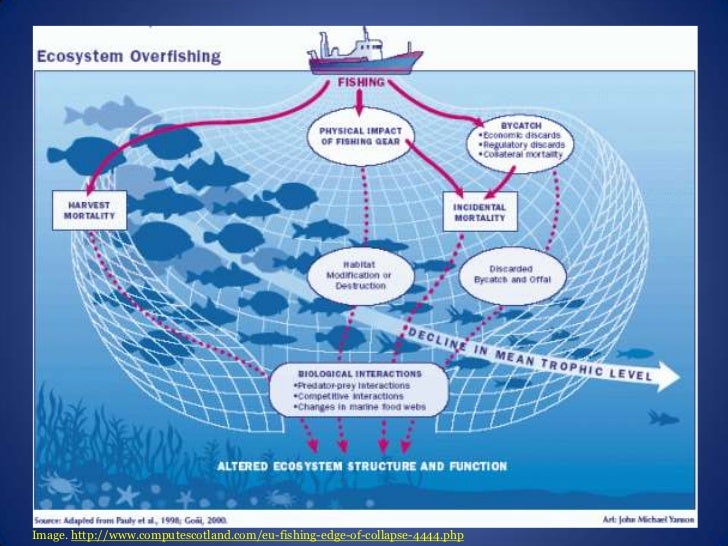 Common Fisheries PolicyShort Version