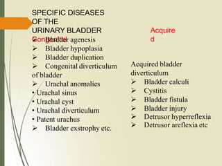 SPECIFIC DISEASES
OF THE
URINARY BLADDER
Congenital Bladder agenesis
 Bladder hypoplasia
 Bladder duplication
 Congenital diverticulum
of bladder
 Urachal anomalies
• Urachal sinus
• Urachal cyst
• Urachal diverticulum
• Patent urachus
 Bladder exstrophy etc.
Acquired bladder
diverticulum
 Bladder calculi
 Cystitis
 Bladder fistula
 Bladder injury
 Detrusor hyperreflexia
 Detrusor areflexia etc
Acquire
d
 