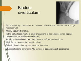 Bladder
diverticulum
Sac formed by herniation of bladder mucosa and submucosa through
muscular wall
Mostly acquired : males .
In the early stages, multiple small protrusions of the bladder lumen appear
between the trabeculae (sacculations).
As they enlarge above 2 cm they become defined as diverticula
Most found close to the uretericorifices
Stasis in diverticula may lead to stone formation.
2% cases leads to carcinoma, MC tumour is Squamous cell carcinoma
 