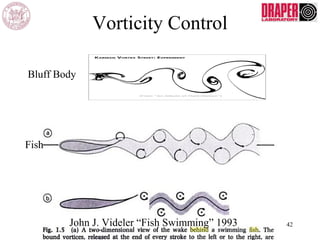 Vorticity Control
John J. Videler “Fish Swimming” 1993
Fish
Bluff Body
42
 
