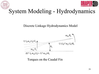 System Modeling - Hydrodynamics
Discrete Linkage Hydrodynamics Model
Torques on the Caudal Fin
59
 