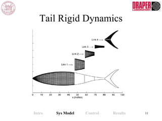 11
Tail Rigid Dynamics
Intro Sys Model Control Results
 