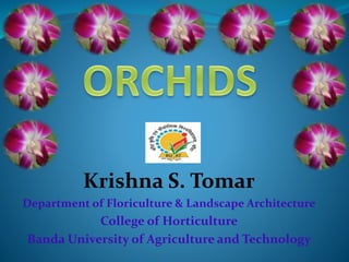 Krishna S. Tomar
Department of Floriculture & Landscape Architecture
College of Horticulture
Banda University of Agriculture and Technology
 