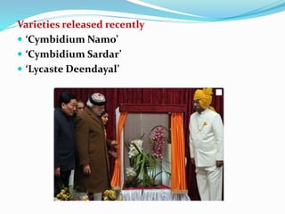 Varieties released recently
 ‘Cymbidium Namo’
 ‘Cymbidium Sardar’
 ‘Lycaste Deendayal’
 