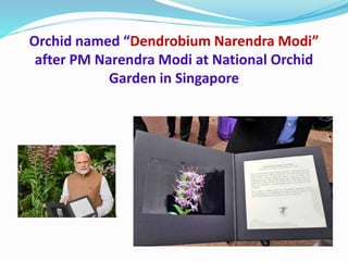Orchid named “Dendrobium Narendra Modi”
after PM Narendra Modi at National Orchid
Garden in Singapore
 