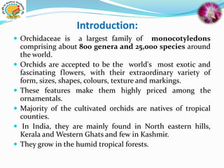 Introduction:
 Orchidaceae is a largest family of monocotyledons
comprising about 800 genera and 25,000 species around
the world.
 Orchids are accepted to be the world's most exotic and
fascinating flowers, with their extraordinary variety of
form, sizes, shapes, colours, texture and markings.
 These features make them highly priced among the
ornamentals.
 Majority of the cultivated orchids are natives of tropical
counties.
 In India, they are mainly found in North eastern hills,
Kerala and Western Ghats and few in Kashmir.
 They grow in the humid tropical forests.
 