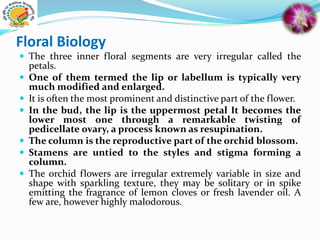 Floral Biology
 The three inner floral segments are very irregular called the
petals.
 One of them termed the lip or labellum is typically very
much modified and enlarged.
 It is often the most prominent and distinctive part of the flower.
 In the bud, the lip is the uppermost petal It becomes the
lower most one through a remarkable twisting of
pedicellate ovary, a process known as resupination.
 The column is the reproductive part of the orchid blossom.
 Stamens are untied to the styles and stigma forming a
column.
 The orchid flowers are irregular extremely variable in size and
shape with sparkling texture, they may be solitary or in spike
emitting the fragrance of lemon cloves or fresh lavender oil. A
few are, however highly malodorous.
 