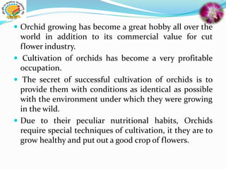  Orchid growing has become a great hobby all over the
world in addition to its commercial value for cut
flower industry.
 Cultivation of orchids has become a very profitable
occupation.
 The secret of successful cultivation of orchids is to
provide them with conditions as identical as possible
with the environment under which they were growing
in the wild.
 Due to their peculiar nutritional habits, Orchids
require special techniques of cultivation, it they are to
grow healthy and put out a good crop of flowers.
 