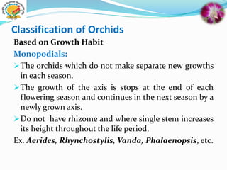 Classification of Orchids
Based on Growth Habit
Monopodials:
The orchids which do not make separate new growths
in each season.
The growth of the axis is stops at the end of each
flowering season and continues in the next season by a
newly grown axis.
Do not have rhizome and where single stem increases
its height throughout the life period,
Ex. Aerides, Rhynchostylis, Vanda, Phalaenopsis, etc.
 