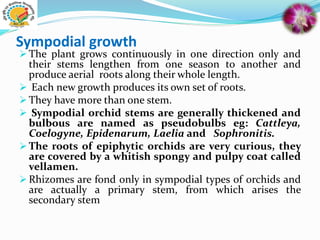 Sympodial growth
 The plant grows continuously in one direction only and
their stems lengthen from one season to another and
produce aerial roots along their whole length.
 Each new growth produces its own set of roots.
 They have more than one stem.
 Sympodial orchid stems are generally thickened and
bulbous are named as pseudobulbs eg: Cattleya,
Coelogyne, Epidenarum, Laelia and Sophronitis.
 The roots of epiphytic orchids are very curious, they
are covered by a whitish spongy and pulpy coat called
vellamen.
 Rhizomes are fond only in sympodial types of orchids and
are actually a primary stem, from which arises the
secondary stem
 