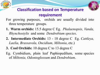 Classification based on Temperature
requirement
For growing purposes, orchids are usually divided into
three temperature groups.
1. Warm orchids: 15.5 degree C Eg. Phalaenopsis, Vanda,
Rhynchostylis and some Dendrobium species.
2. Intermediate Orchids: 13 - 18 degree C Eg. Cattleya,
Laelia, Brassavola, Oncidium, Miltonia, etc.)
3. Cool Orchids: 10 degree C to 13 degree C
Eg. Cymbidium, plain leaf Paphiopedilum, some species
of Miltonia, Odontoglossum and Dendrobium.
 