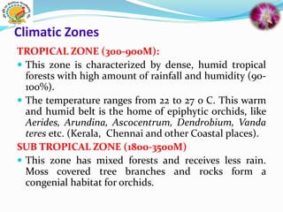 Climatic Zones
TROPICAL ZONE (300-900M):
 This zone is characterized by dense, humid tropical
forests with high amount of rainfall and humidity (90-
100%).
 The temperature ranges from 22 to 27 o C. This warm
and humid belt is the home of epiphytic orchids, like
Aerides, Arundina, Ascocentrum, Dendrobium, Vanda
teres etc. (Kerala, Chennai and other Coastal places).
SUB TROPICAL ZONE (1800-3500M)
 This zone has mixed forests and receives less rain.
Moss covered tree branches and rocks form a
congenial habitat for orchids.
 