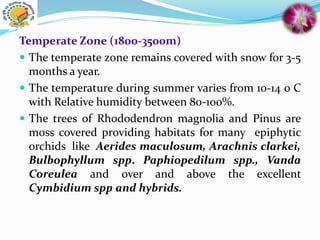 Temperate Zone (1800-3500m)
 The temperate zone remains covered with snow for 3-5
months a year.
 The temperature during summer varies from 10-14 o C
with Relative humidity between 80-100%.
 The trees of Rhododendron magnolia and Pinus are
moss covered providing habitats for many epiphytic
orchids like Aerides maculosum, Arachnis clarkei,
Bulbophyllum spp. Paphiopedilum spp., Vanda
Coreulea and over and above the excellent
Cymbidium spp and hybrids.
 