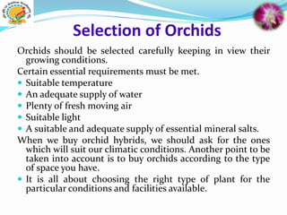 Selection of Orchids
Orchids should be selected carefully keeping in view their
growing conditions.
Certain essential requirements must be met.
 Suitable temperature
 An adequate supply of water
 Plenty of fresh moving air
 Suitable light
 A suitable and adequate supply of essential mineral salts.
When we buy orchid hybrids, we should ask for the ones
which will suit our climatic conditions. Another point to be
taken into account is to buy orchids according to the type
of space you have.
 It is all about choosing the right type of plant for the
particular conditions and facilities available.
 