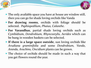  The only available space you have at house are window still,
then you can go for shade loving orchids like Vanda
 For drawing rooms, orchids with foliage should be
selected. Paphiopedilum, Phaius, Calanthe.
 For Varandhas, partial shade loving orchids such as
Cymbidium, Dendrobium, Rhyncostylis, Aerides which can
be hung in wooden baskets can be selected.
 If there is a large space outside, sun loving orchids like
Arudiana graminifolia and some Dendrobium, Vanda,
Aranda, Arachins, Oncidium plants can be grown.
 The choice of orchids should be made in such a way that
you get flowers round the year.
 