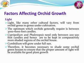 Factors Affecting Orchid Growth
Light
 Light, like many other cultural factors, will vary from
orchid genus to genus under cultivation.
 The optimum which orchids generally require is between
3000-6000 foot candles.
 Cypripedium and Phalenopsis need only between 200-300
foot candles and hence are to be kept in comparatively
more shaded regions of the orchid house.
 Cymbidium will grow under full sun.
 Therefore, it becomes necessary to shade some orchid
green houses to ensure that the proper amount of light will
be available for good plant growth
 