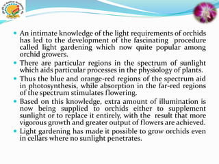  An intimate knowledge of the light requirements of orchids
has led to the development of the fascinating procedure
called light gardening which now quite popular among
orchid growers.
 There are particular regions in the spectrum of sunlight
which aids particular processes in the physiology of plants.
 Thus the blue and orange-red regions of the spectrum aid
in photosynthesis, while absorption in the far-red regions
of the spectrum stimulates flowering.
 Based on this knowledge, extra amount of illumination is
now being supplied to orchids either to supplement
sunlight or to replace it entirely, with the result that more
vigorous growth and greater output of flowers are achieved.
 Light gardening has made it possible to grow orchids even
in cellars where no sunlight penetrates.
 